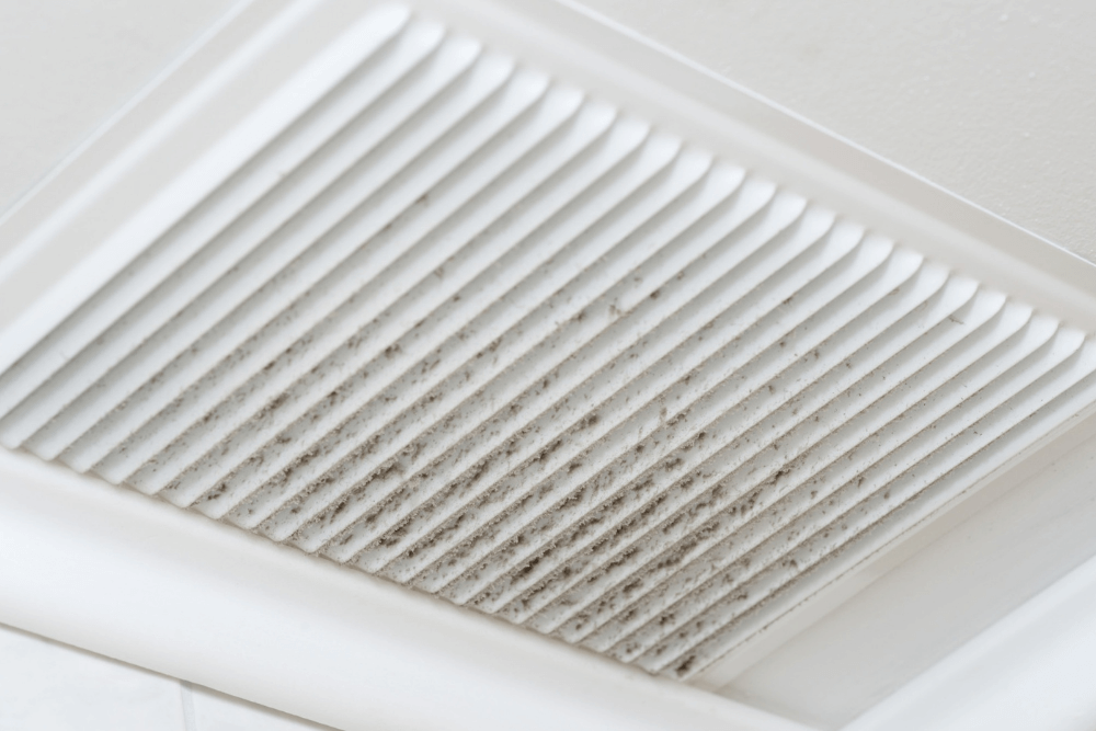 What’s That Smell? 4 Signs of Air Conditioner Mold
